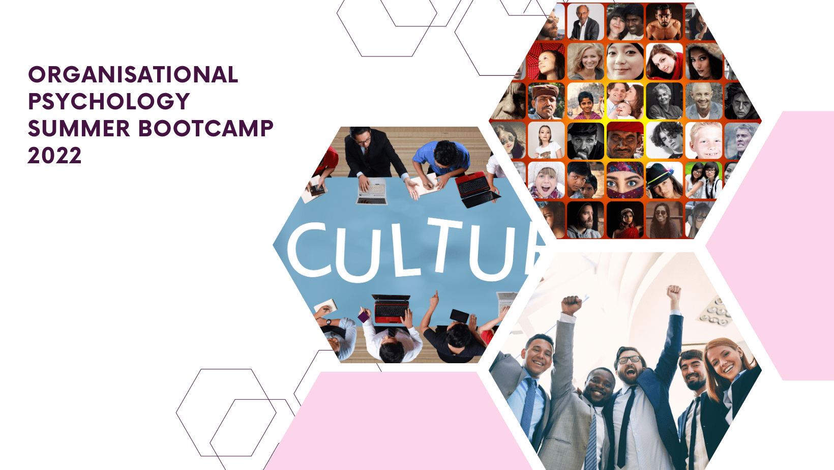  Organisational Psychology Summer Training Bootcamp